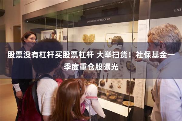 股票没有杠杆买股票杠杆 大举扫货！社保基金一季度重仓股曝光