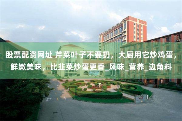 股票配资网址 芹菜叶子不要扔，大厨用它炒鸡蛋，鲜嫩美味，比韭菜炒蛋更香_风味_营养_边角料