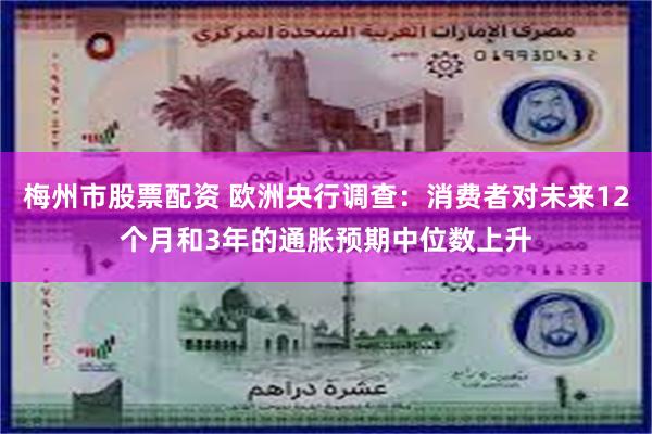 梅州市股票配资 欧洲央行调查：消费者对未来12个月和3年的通胀预期中位数上升