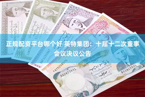 正规配资平台哪个好 英特集团：十届十二次董事会议决议公告
