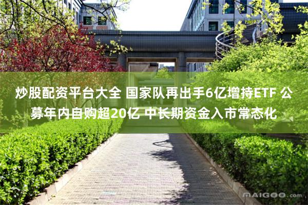 炒股配资平台大全 国家队再出手6亿增持ETF 公募年内自购超20亿 中长期资金入市常态化