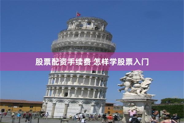 股票配资手续费 怎样学股票入门