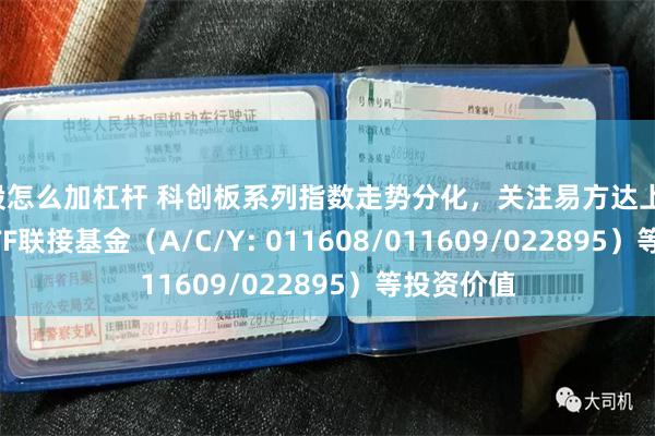 a股怎么加杠杆 科创板系列指数走势分化，关注易方达上证科创50ETF联接基金（A/C/Y: 011608/011609/022895）等投资价值