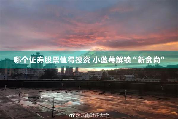 哪个证券股票值得投资 小蓝莓解锁“新食尚”